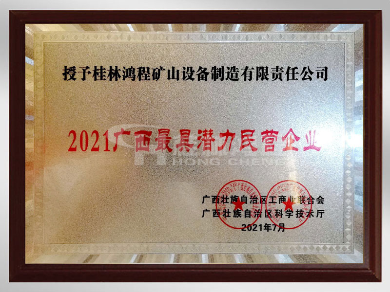 2021广西最具潜力民营企业